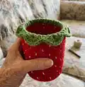 Fruit Snack Coozie Pack Pattern step 4 - final assembly and finishing