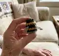 Crochet bumblebees Amigurumi Pattern step 4 - final assembly and finishing