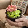Cactus Frog with Removeable Pot Amigurumi Pattern step 4 - final assembly and finishing