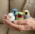 Mini Parrot Amigurumi Pattern step 4 - final assembly and finishing