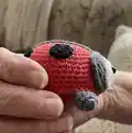 Ladybug Amigurumi Pattern step 3 - details and accessories