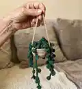 Succulent Potted Plant Pattern step 4 - final assembly and finishing