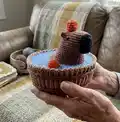 Capybara in a tub Amigurumi Pattern step 4 - final assembly and finishing