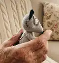 Sparky and Persephone Amigurumi Pattern step 2 - assembly progress