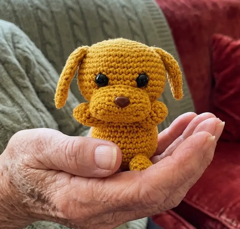 Complimentary Intermediate crochet pattern: Puppy Dog Friend Amigurumi Pattern - Simple to follow guide