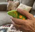 Pearodactyl Amigurumi Pattern step 3 - details and accessories