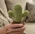 Desert Crochet Cactus Amigurumi Pattern step 1 - construction progress