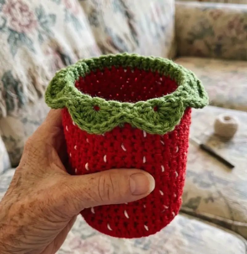 Complimentary Intermediate crochet pattern: Fruit Snack Coozie Pack Pattern - Simple to follow guide