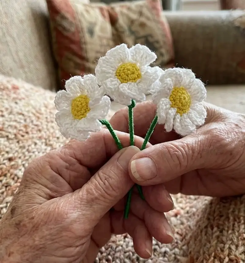 Quality crochet pattern: Daisy & Carnation Flower Bouquet Amigurumi Pattern - Intermediate level guide with complete instructions