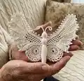 Butterfly Pattern step 1 - construction progress