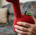 Appletosaurus Amigurumi Pattern step 3 - details and accessories