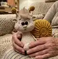 Snail Amigurumi Pattern step 1 - construction progress