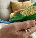 Budgerigar Amigurumi Pattern step 3 - details and accessories