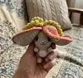 Bunny-Carrot Amigurumi Pattern step 4 - final assembly and finishing