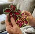 Watermelon Coleus Pattern step 1 - construction progress