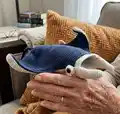 Jacque the Manta Ray Amigurumi Pattern step 4 - final assembly and finishing