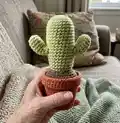 Desert Crochet Cactus Amigurumi Pattern step 4 - final assembly and finishing
