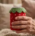 Fruit Snack Coozie Pack Pattern step 3 - details and accessories