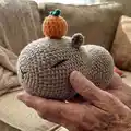 Capybara Amigurumi Pattern step 1 - construction progress
