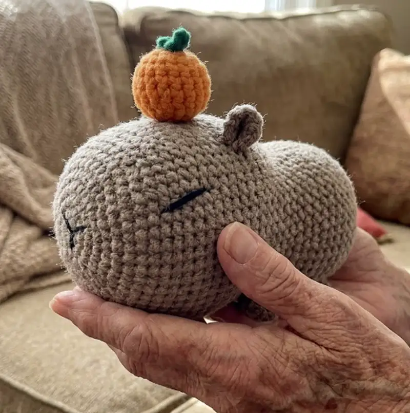 Complimentary Beginner Friendly crochet pattern: Capybara Amigurumi Pattern - Simple to follow guide