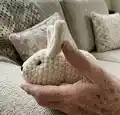 Rabbit Amigurumi Pattern step 2 - assembly progress