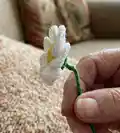 Daisy & Carnation Flower Bouquet Amigurumi Pattern step 2 - assembly progress