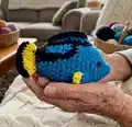 Blue Tang Fish Amigurumi Pattern step 1 - construction progress