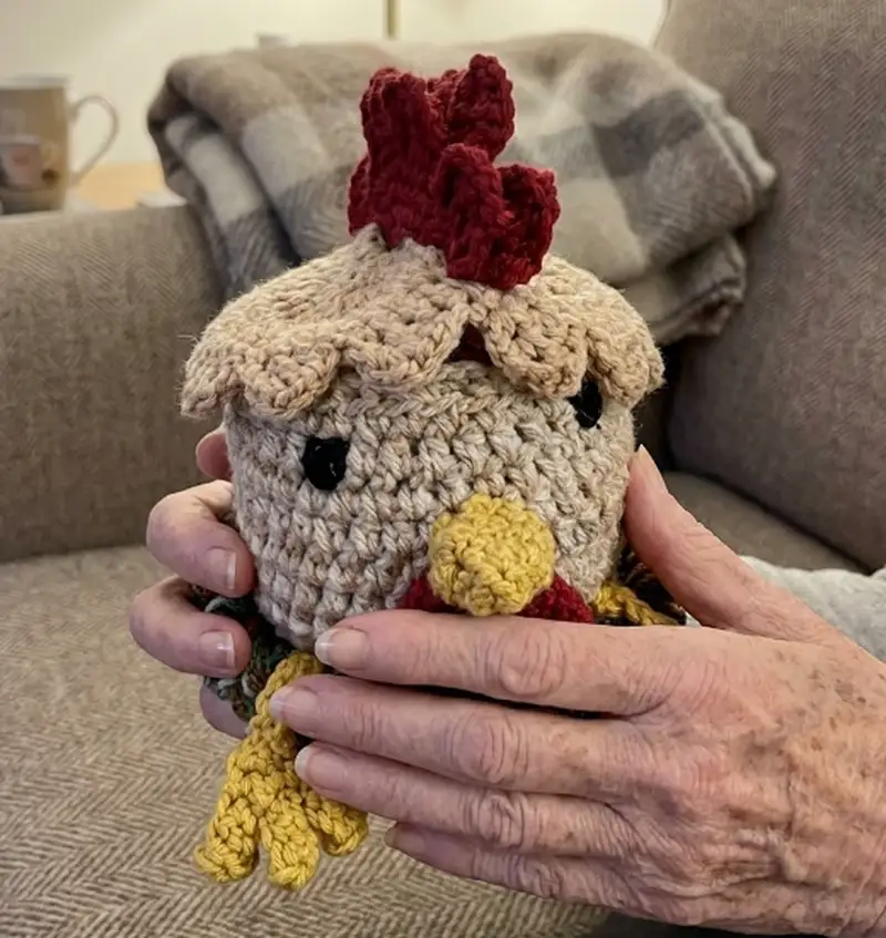 Quality crochet pattern: Hennifer Chicken Crochet Coaster Set Pattern - Intermediate level guide with complete instructions