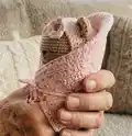 Baby Bears Amigurumi Pattern step 3 - details and accessories